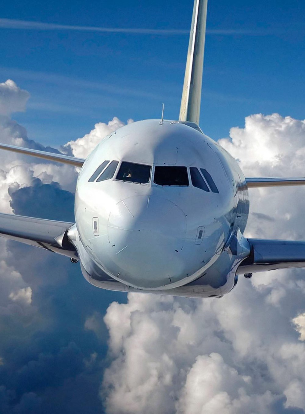 Person using smartphone for treasure hunt experience